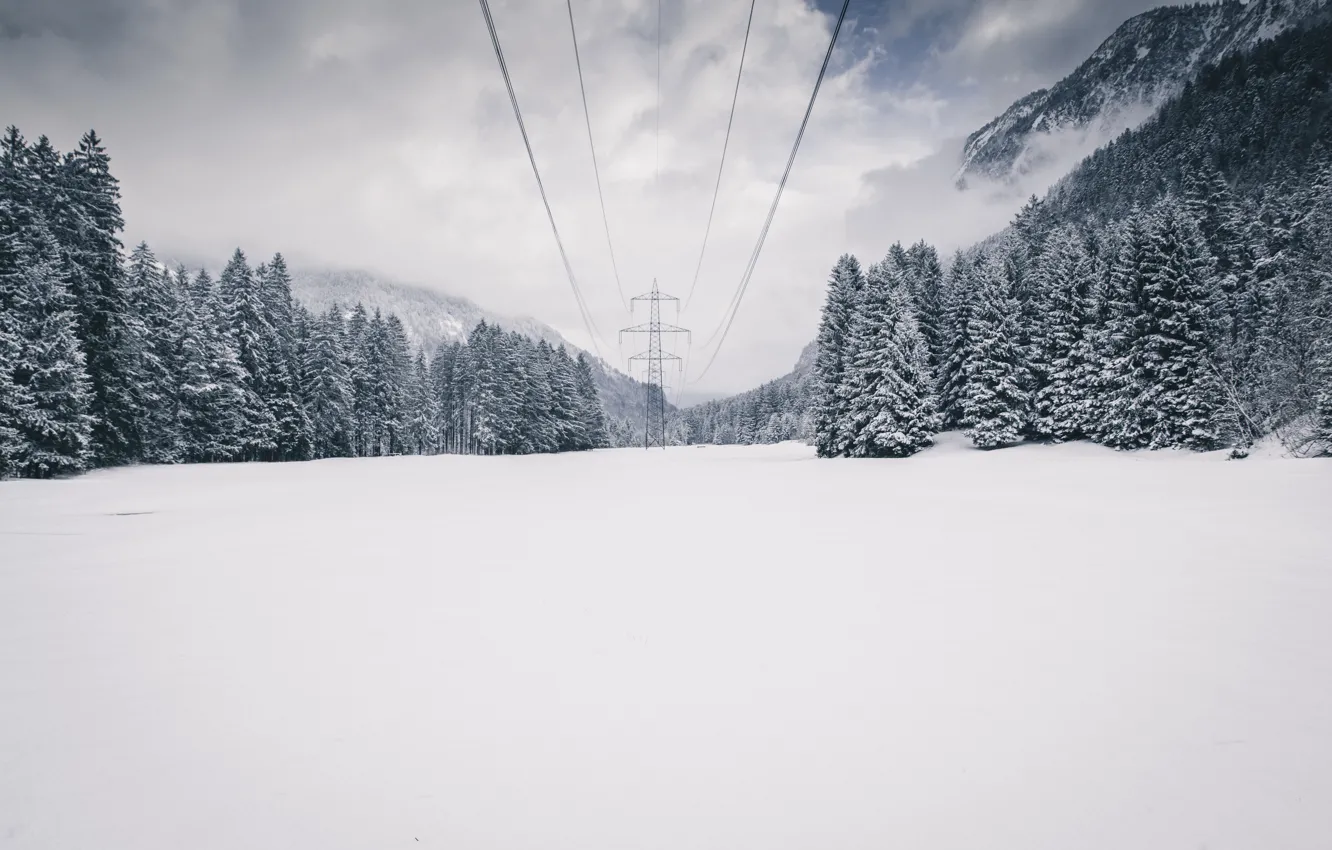 Photo wallpaper winter, snow, power lines