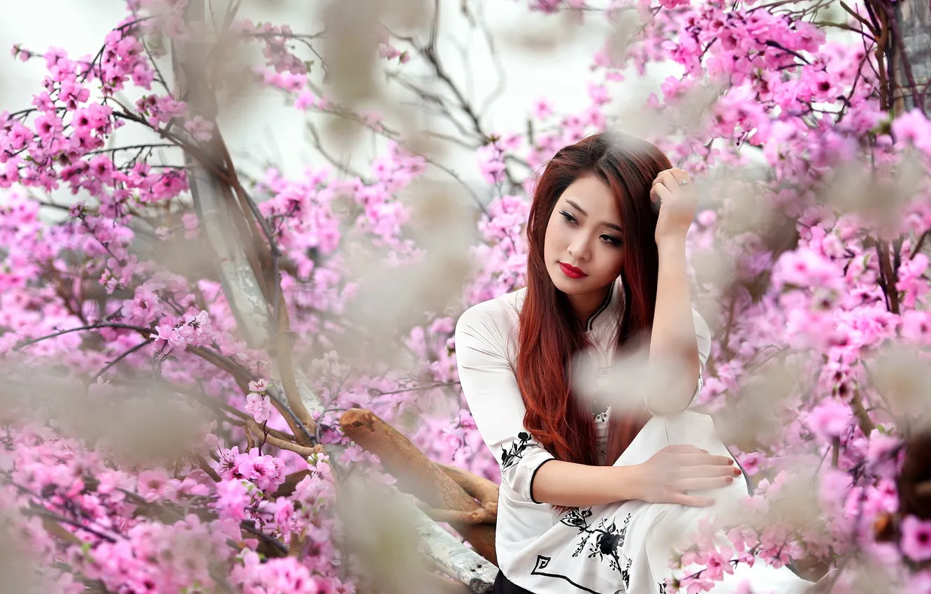 Photo wallpaper girl, spring, Asian