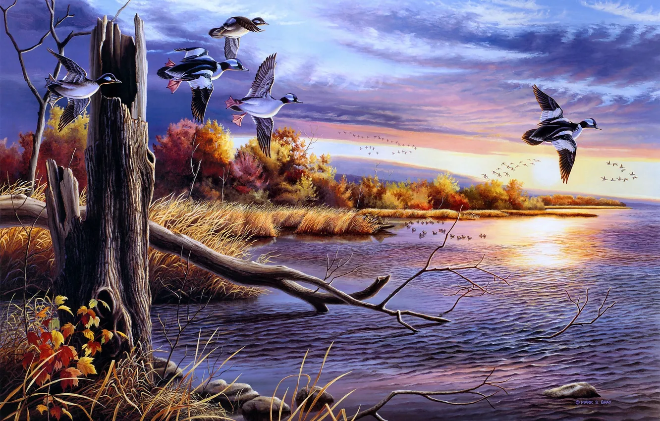 Photo wallpaper autumn, water, birds, lake, figure, duck, painting, Mark S. Bray
