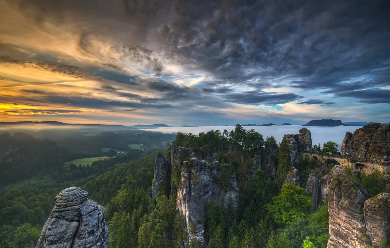Photo wallpaper forest, clouds, mountains, bridge, Germany, Germany, Saxon Switzerland, Saxon Switzerland