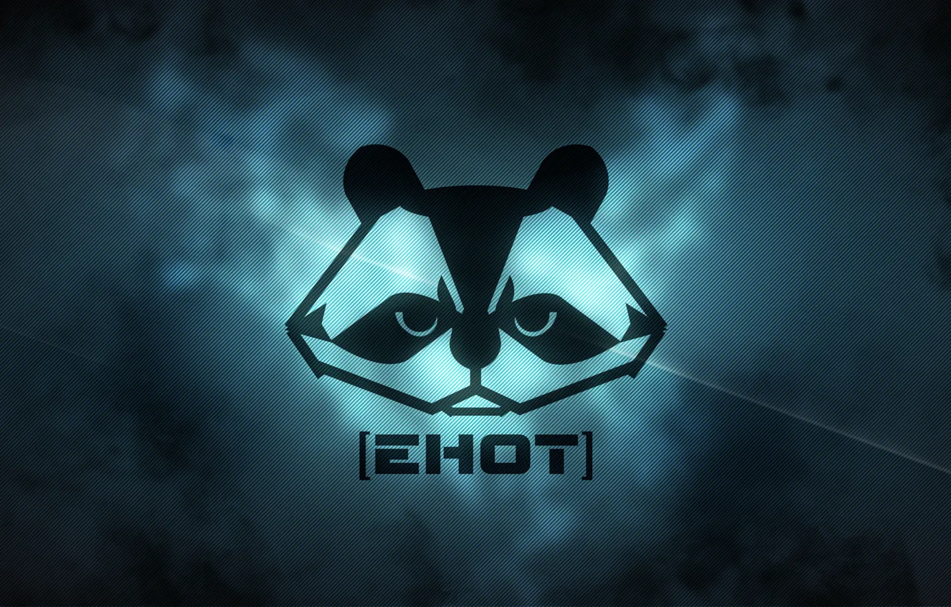 Photo wallpaper sign, Wallpaper, the game, raccoon, wallpaper, emblem, game, picture