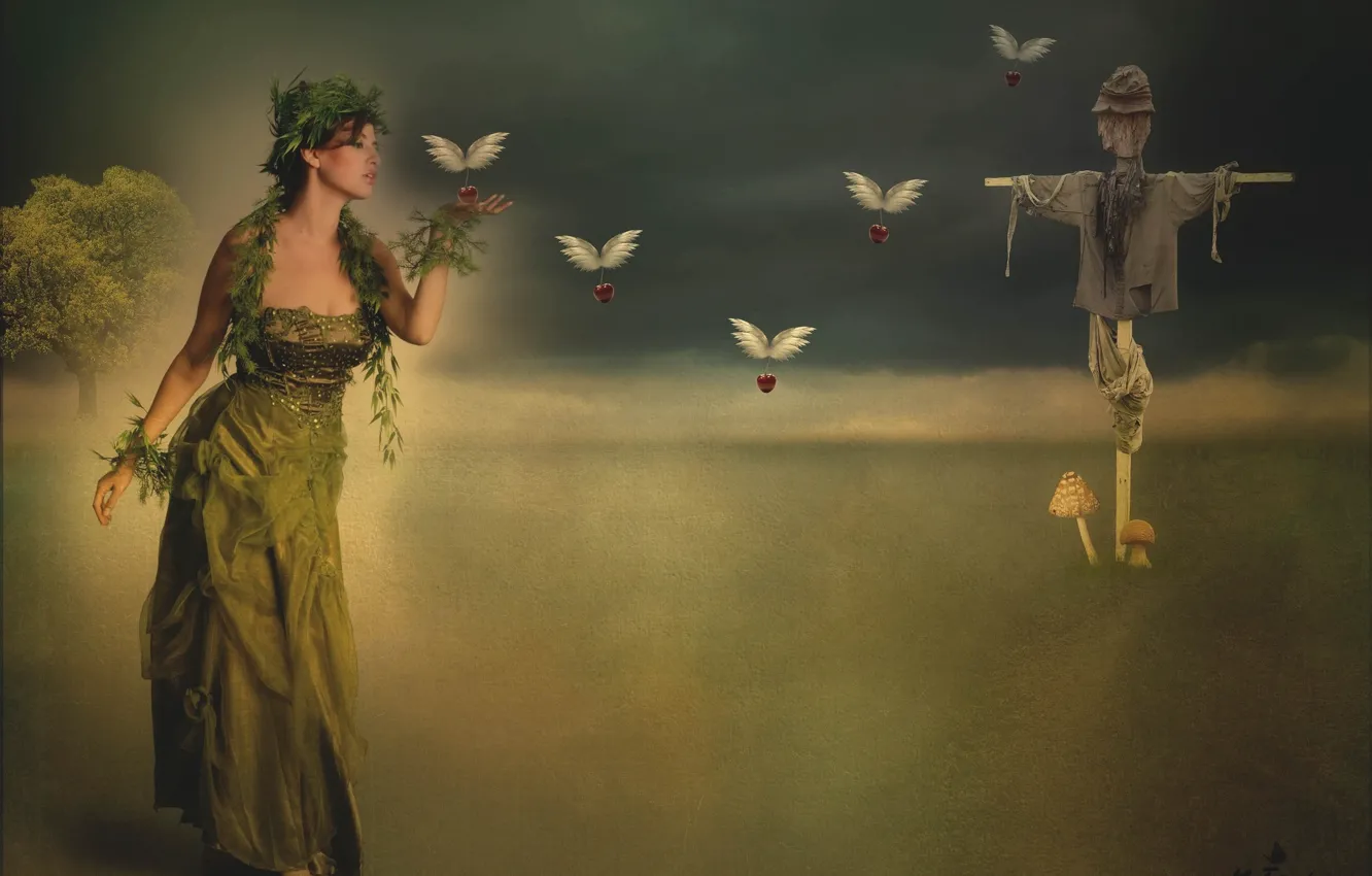 Photo wallpaper girl, collage, fantasy, Scarecrow, photoart