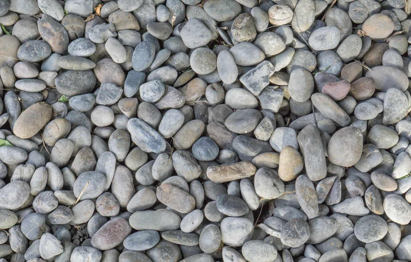 Photo wallpaper beach, pebbles, stones, background, white, white, beach, texture
