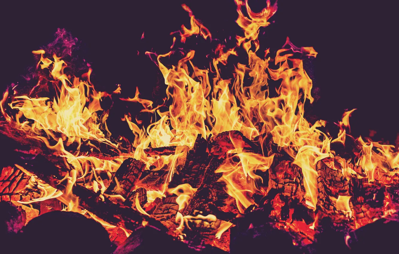 Photo wallpaper fire, flame, the fire