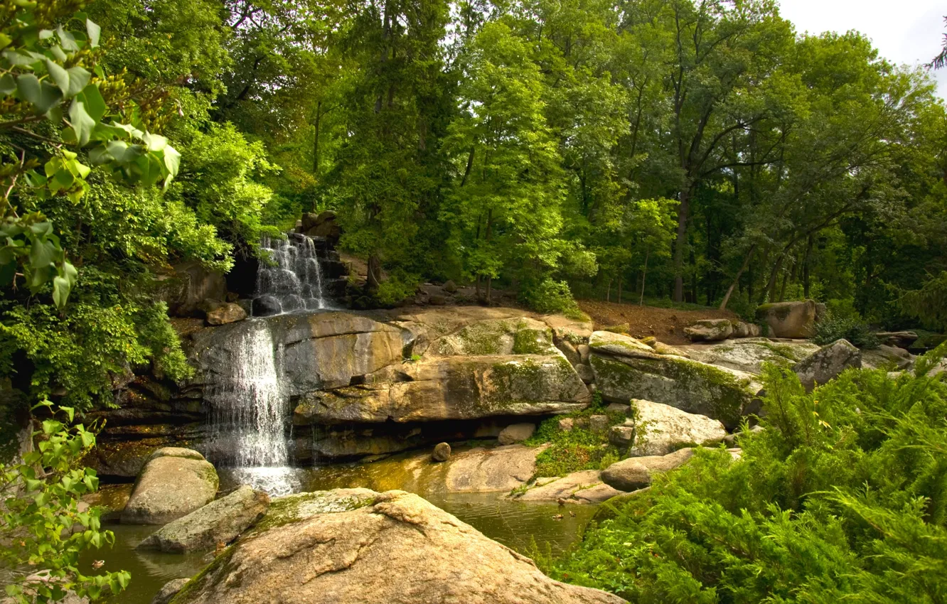 Photo wallpaper water, trees, Park, stones, waterfall, stream