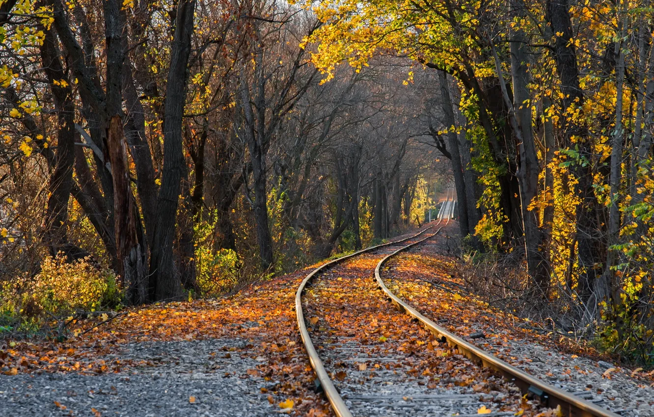 Photo wallpaper autumn, nature, railroad
