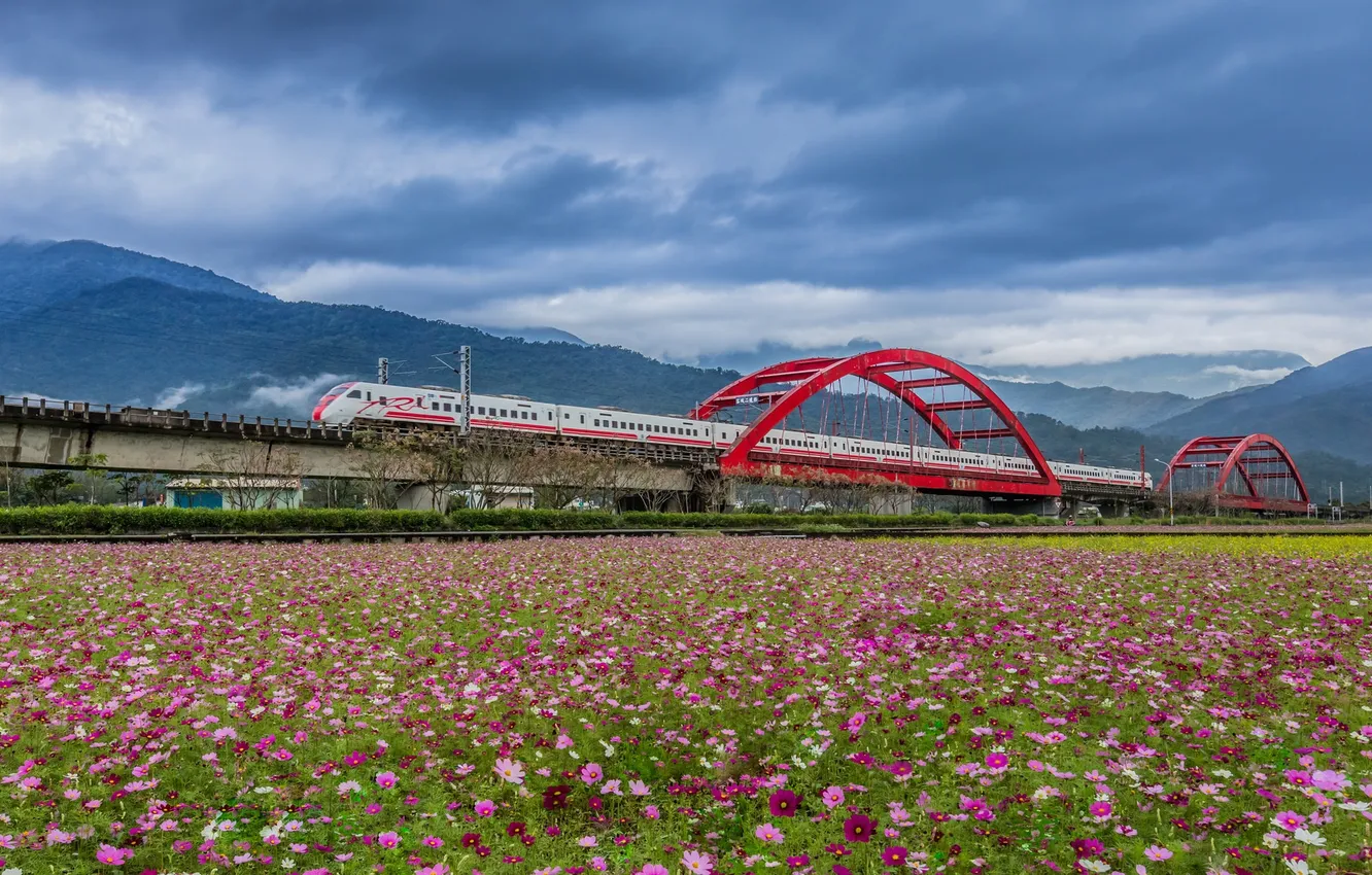 Photo wallpaper field, landscape, bridge, train, Taiwan