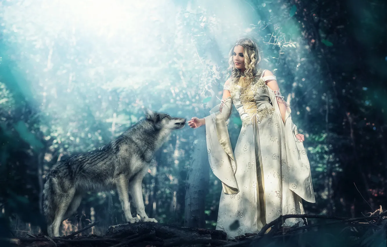 Photo wallpaper forest, look, girl, rays, light, pose, fog, style