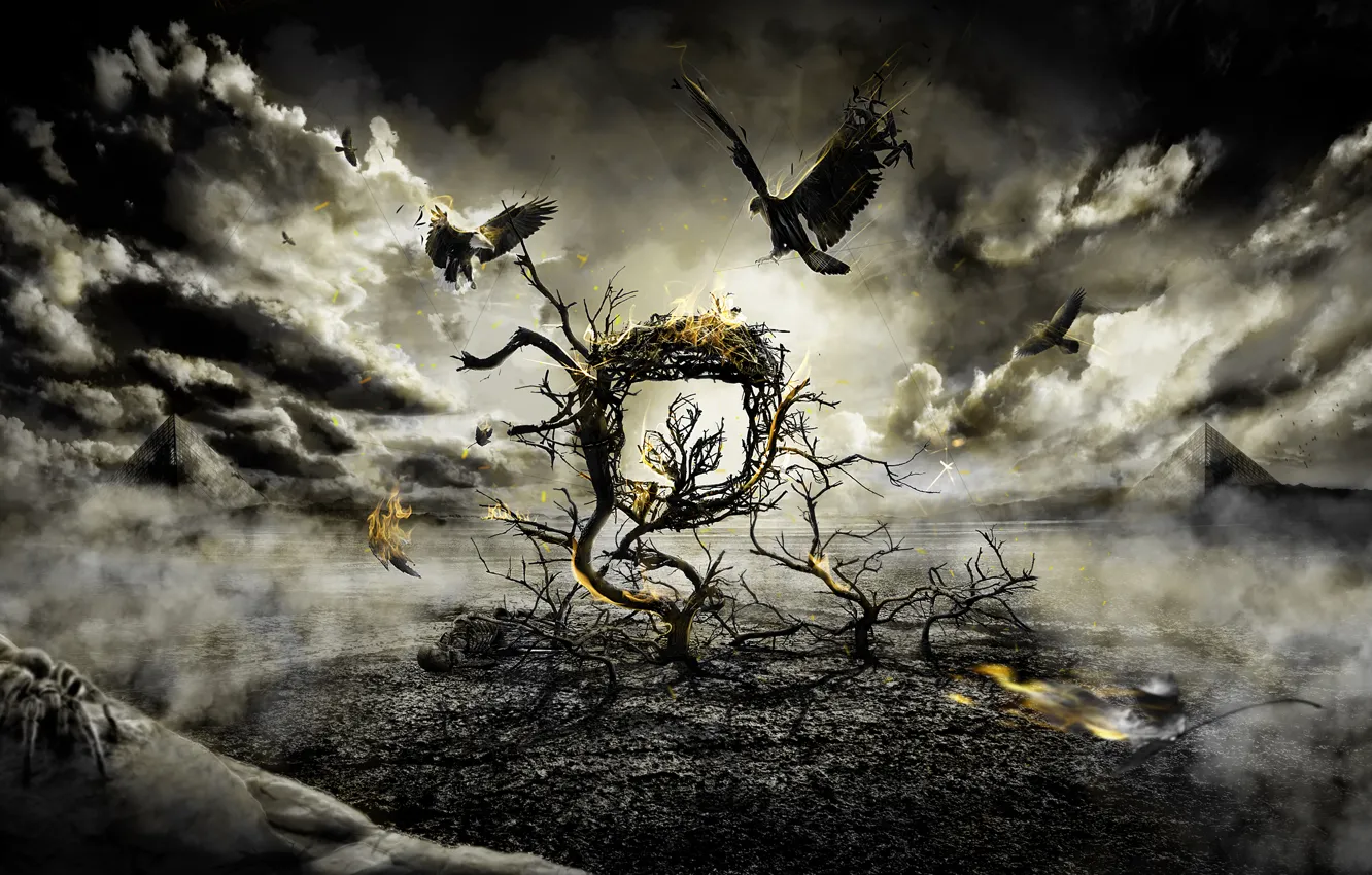 Photo wallpaper birds, clouds, tree, fire, the darkness, fight, spider, Gothic