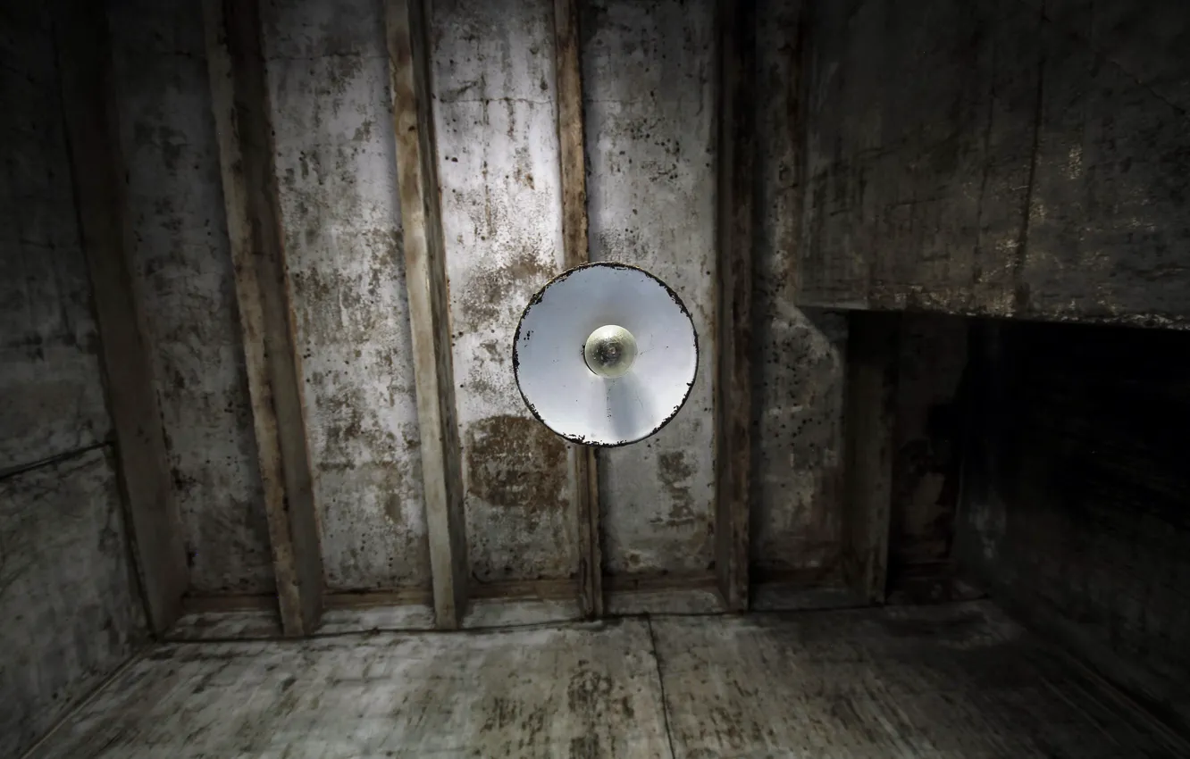 Photo wallpaper room, lamp, the ceiling, naturalism