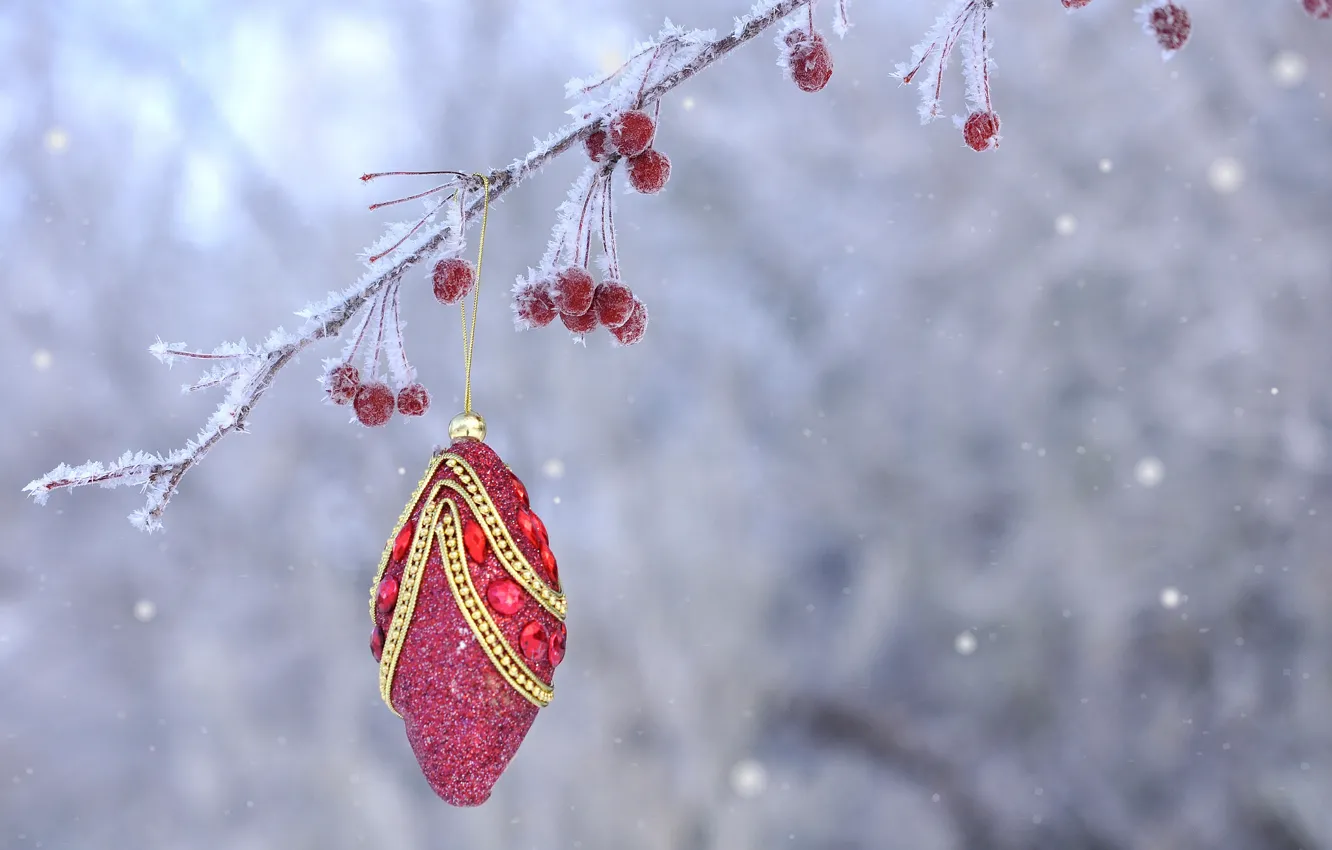 Photo wallpaper frost, berries, toy, new year, Christmas, branch, fruit, decoration
