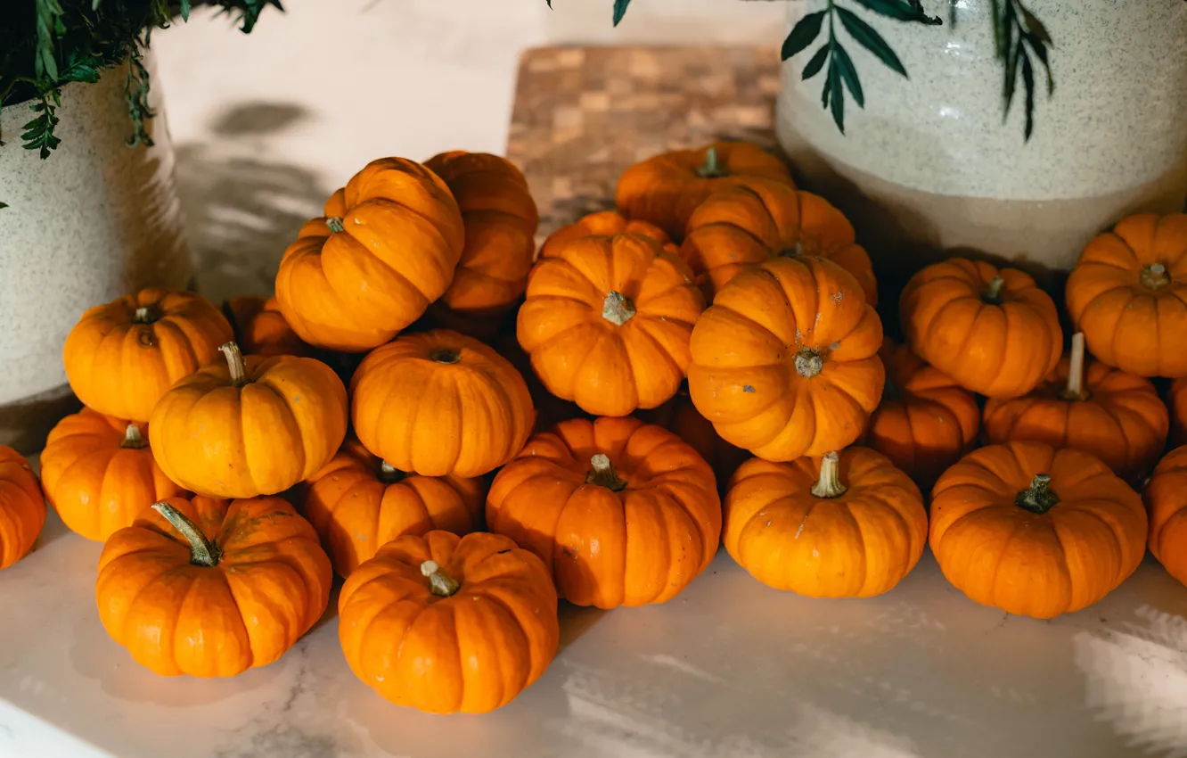 Photo wallpaper harvest, pumpkin, pot, a lot, pot, ceramics