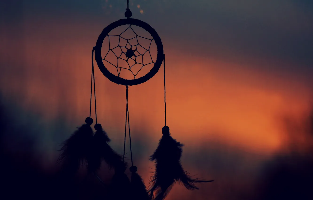 Photo wallpaper the evening, feathers, silhouette, amulet, Dreamcatcher, Dreamcatcher, Talisman