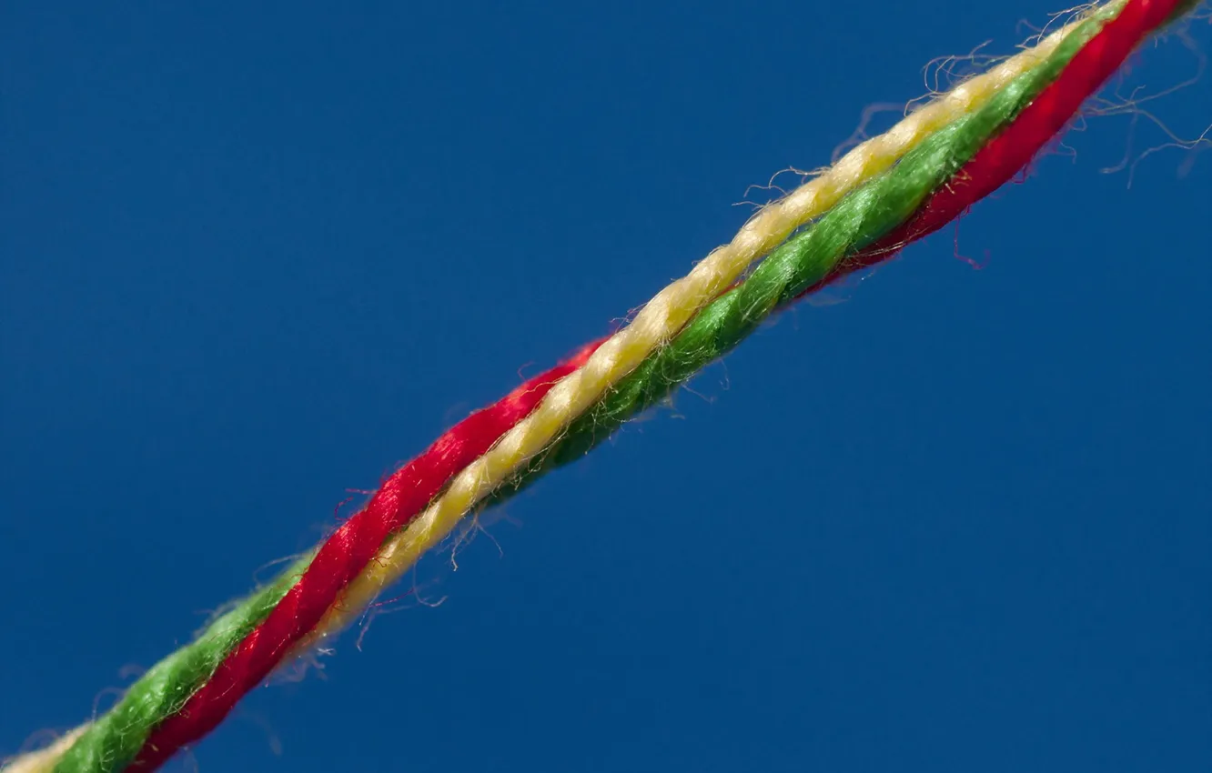 Photo wallpaper macro, color, thread