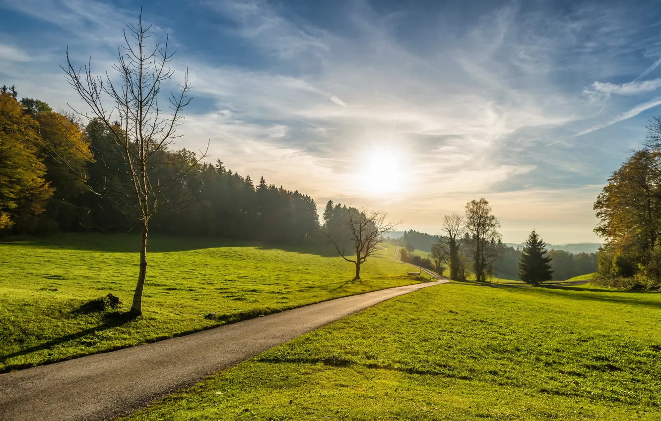 Photo wallpaper road, landscape, morning