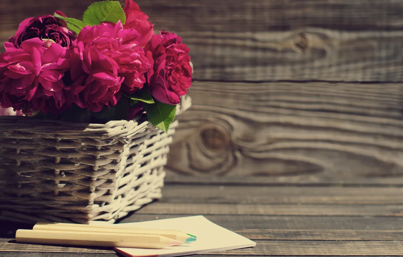 Photo wallpaper basket, roses, pink, wood, pink, flowers, beautiful