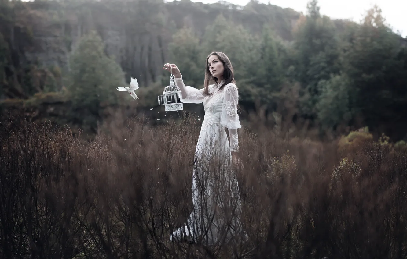 Photo wallpaper girl, nature, mood, bird, cell, dress, pigeons, dove