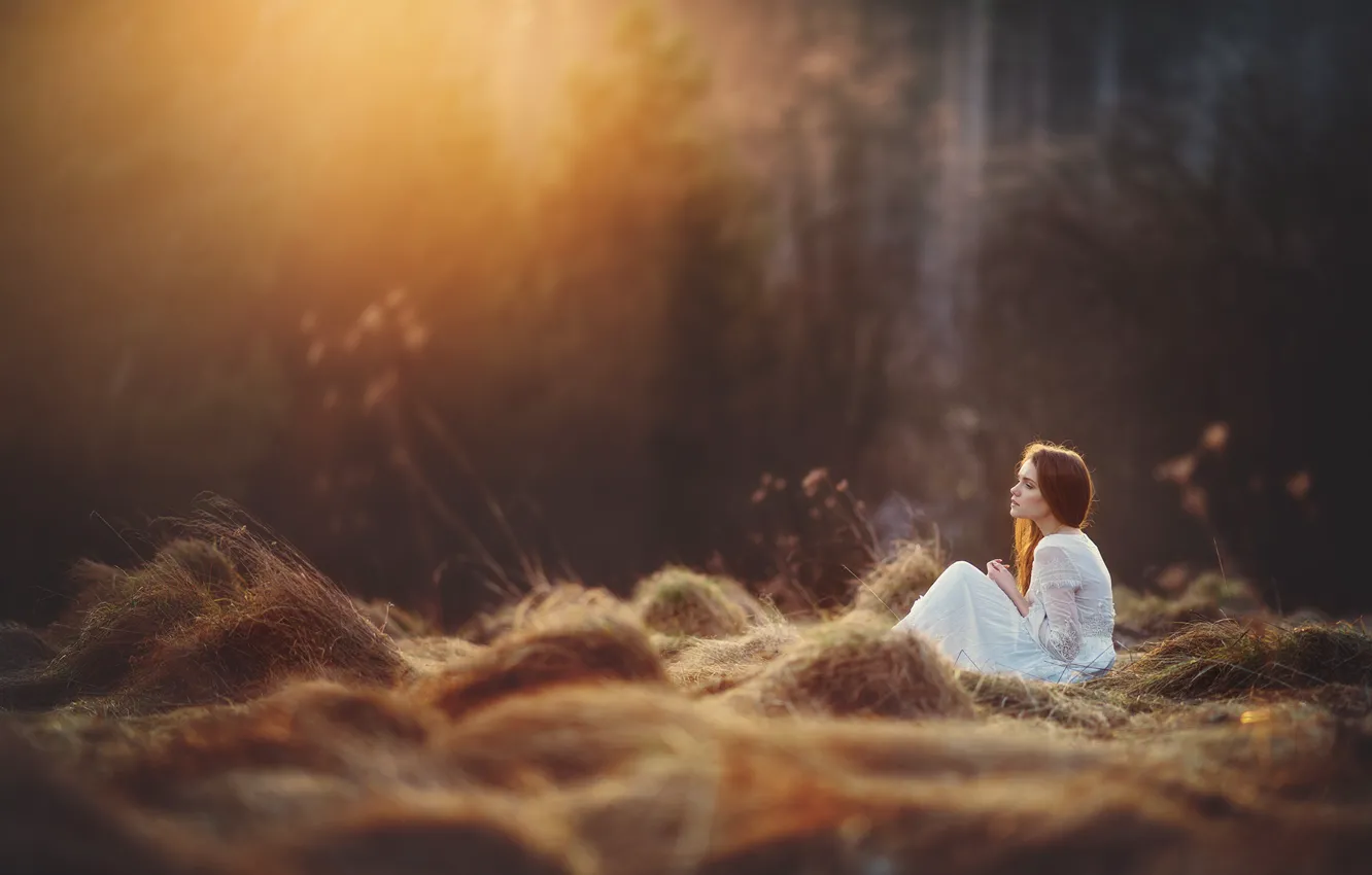 Photo wallpaper forest, girl, the sun