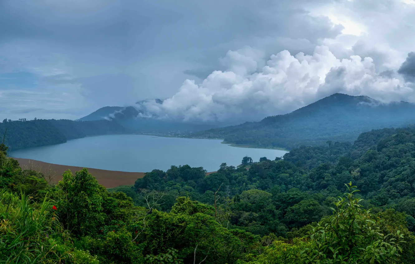 Photo wallpaper forest, clouds, mountains, fog, lake, tropics, jungle, Indonesia