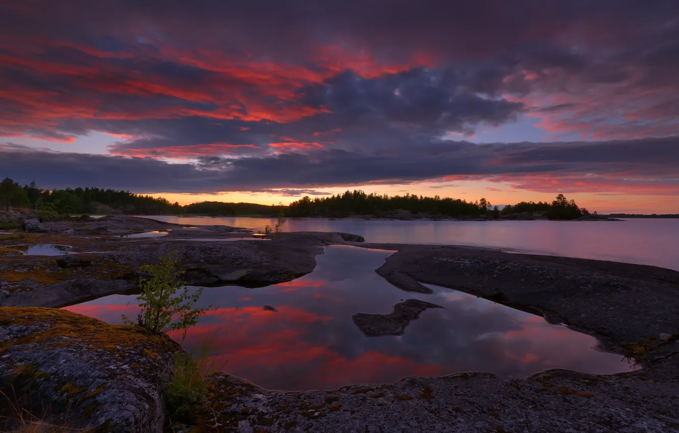 Photo wallpaper landscape, sunset, clouds, nature, lake, stones, forest, Lake Ladoga