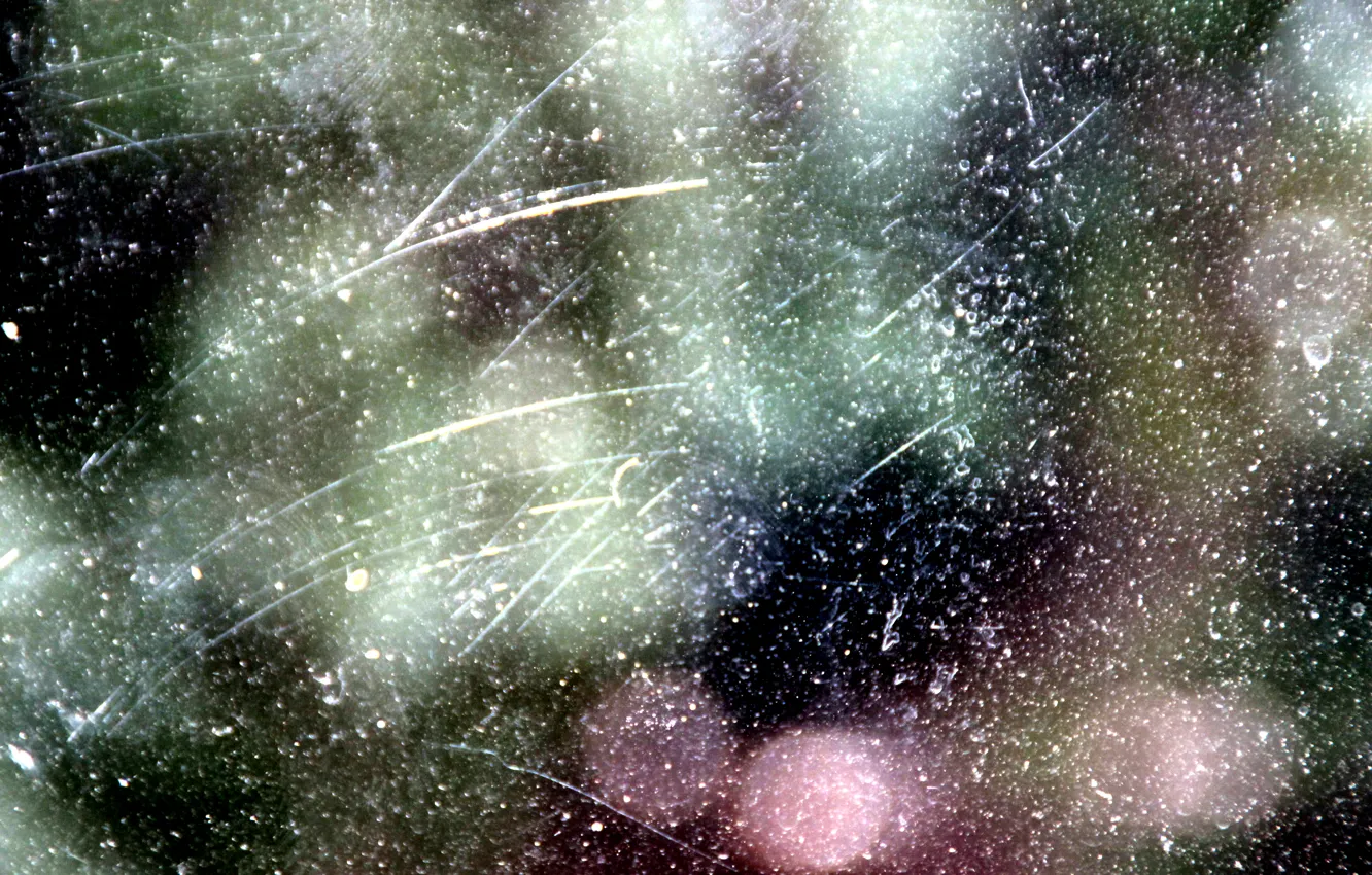 Photo wallpaper color, window, day