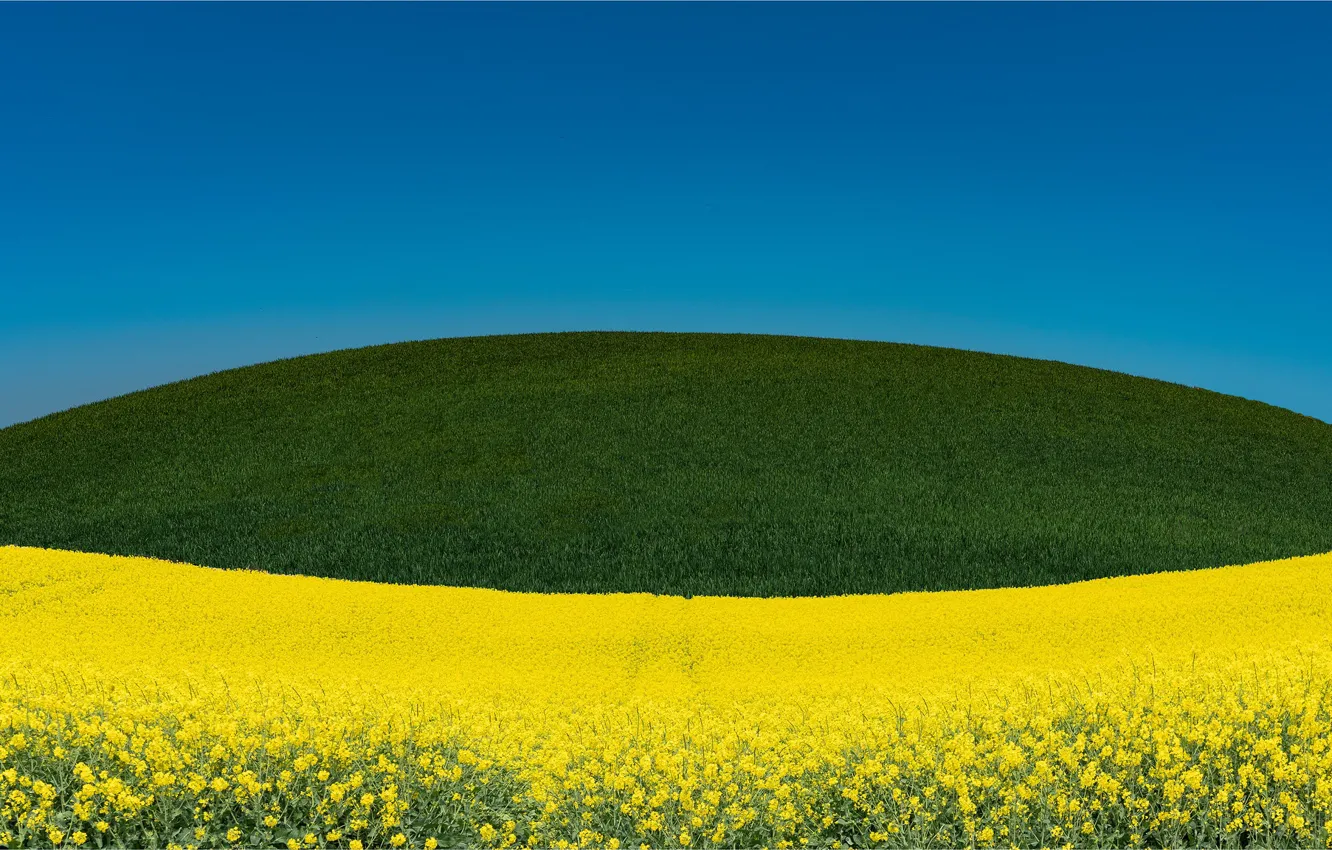 Photo wallpaper landscape, nature, meadow