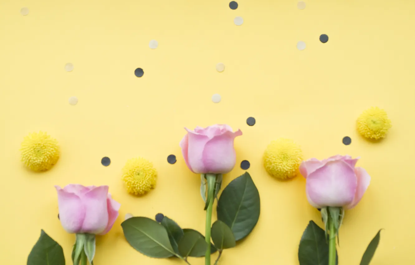 Photo wallpaper roses, pink, buds, pink, flowers, roses