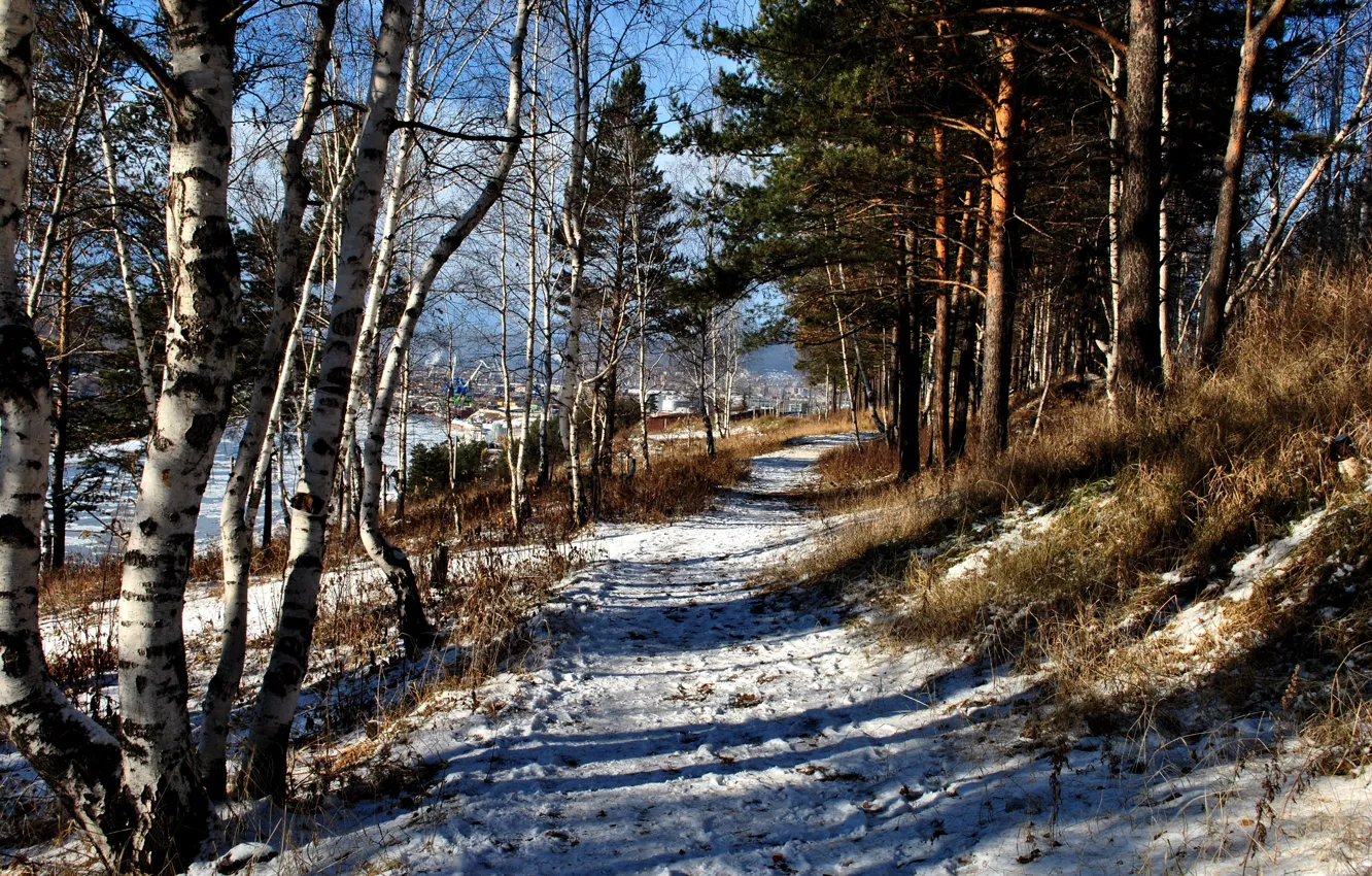 Photo wallpaper winter, forest, snow, track, path, Ust ' -Kut