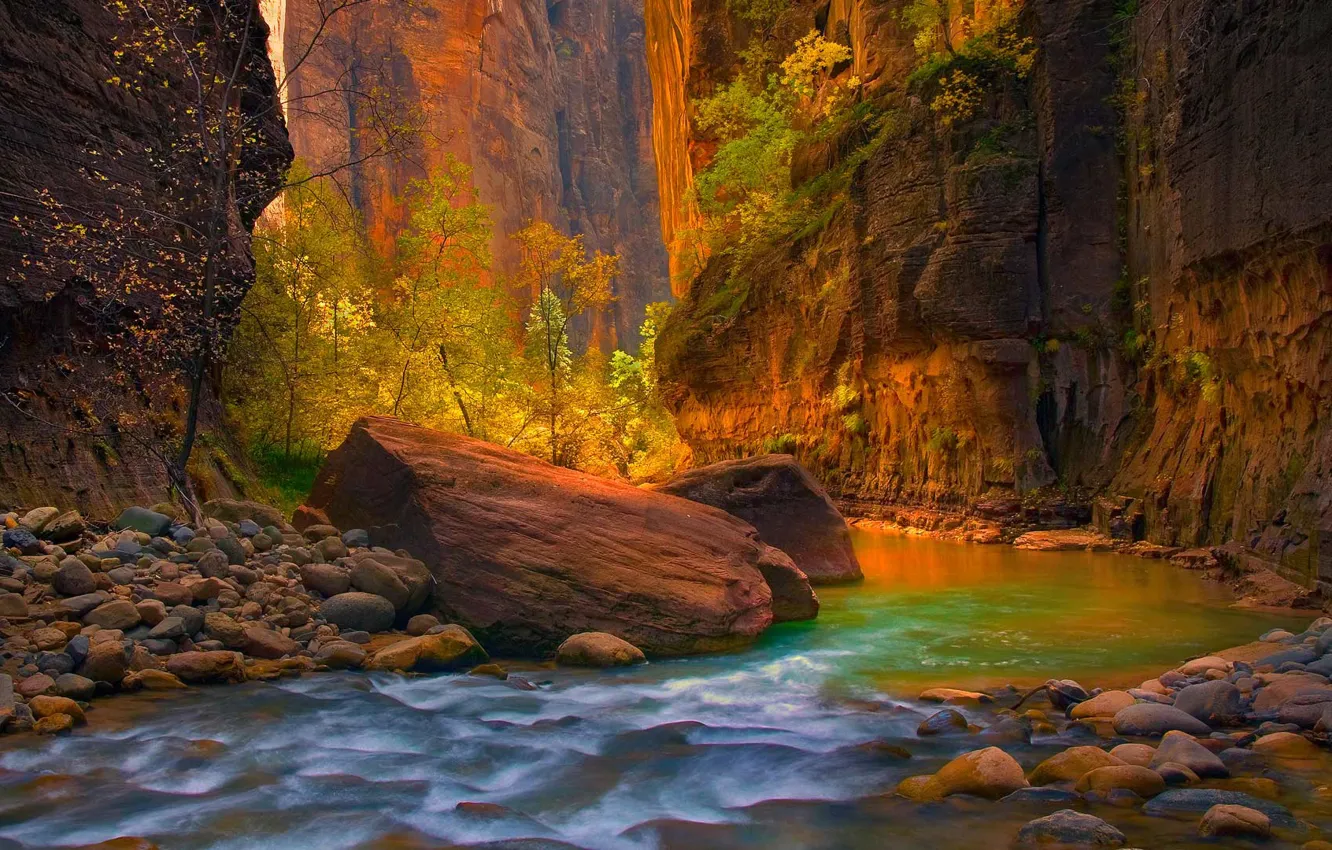Photo wallpaper autumn, stones, rocks, Utah, USA, Zion National Park, the river virgin