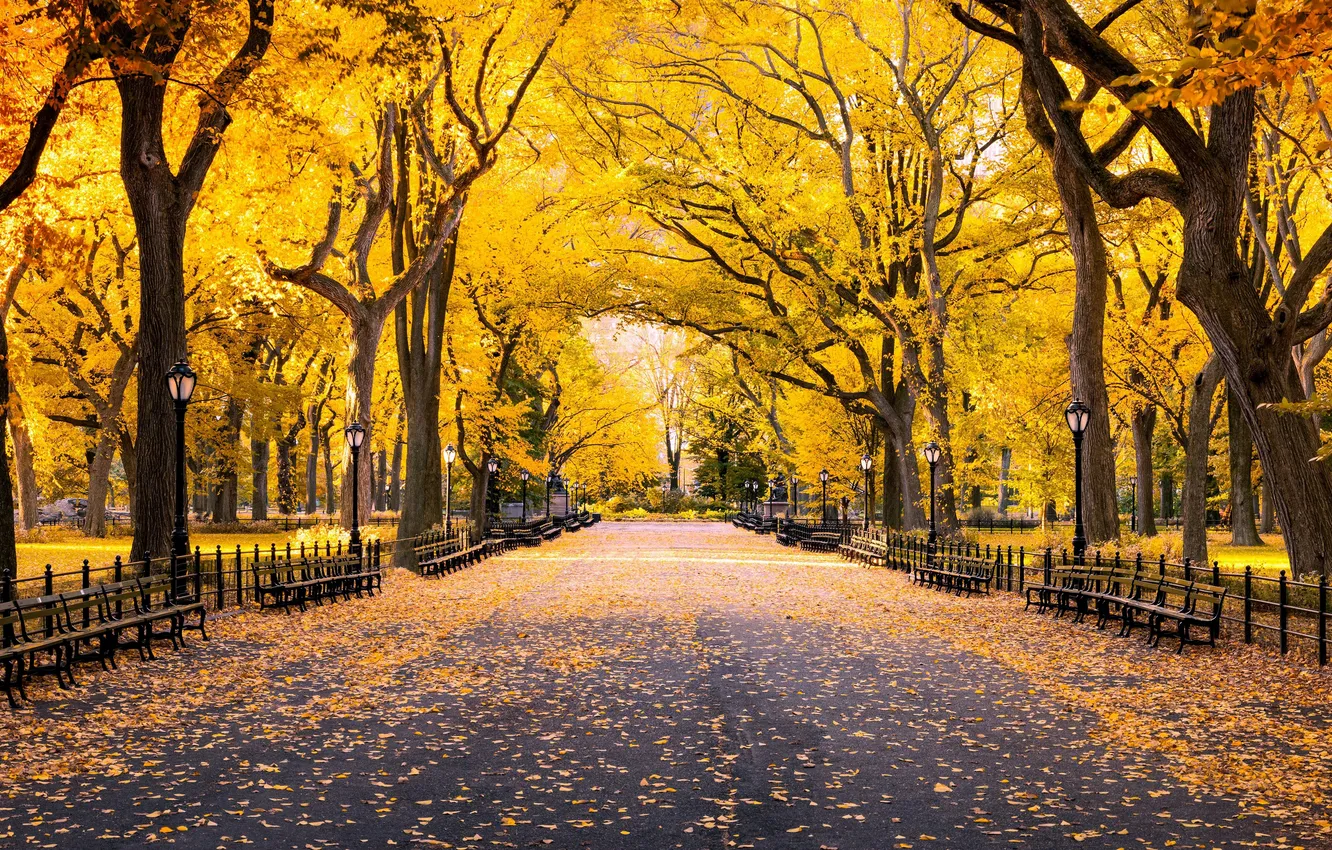 Photo wallpaper New York, Autumn, USA, USA, Manhattan, New York, Manhattan, Autumn