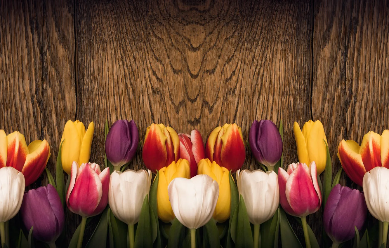 Photo wallpaper flowers, heart, colorful, tulips, red, love, wood, romantic
