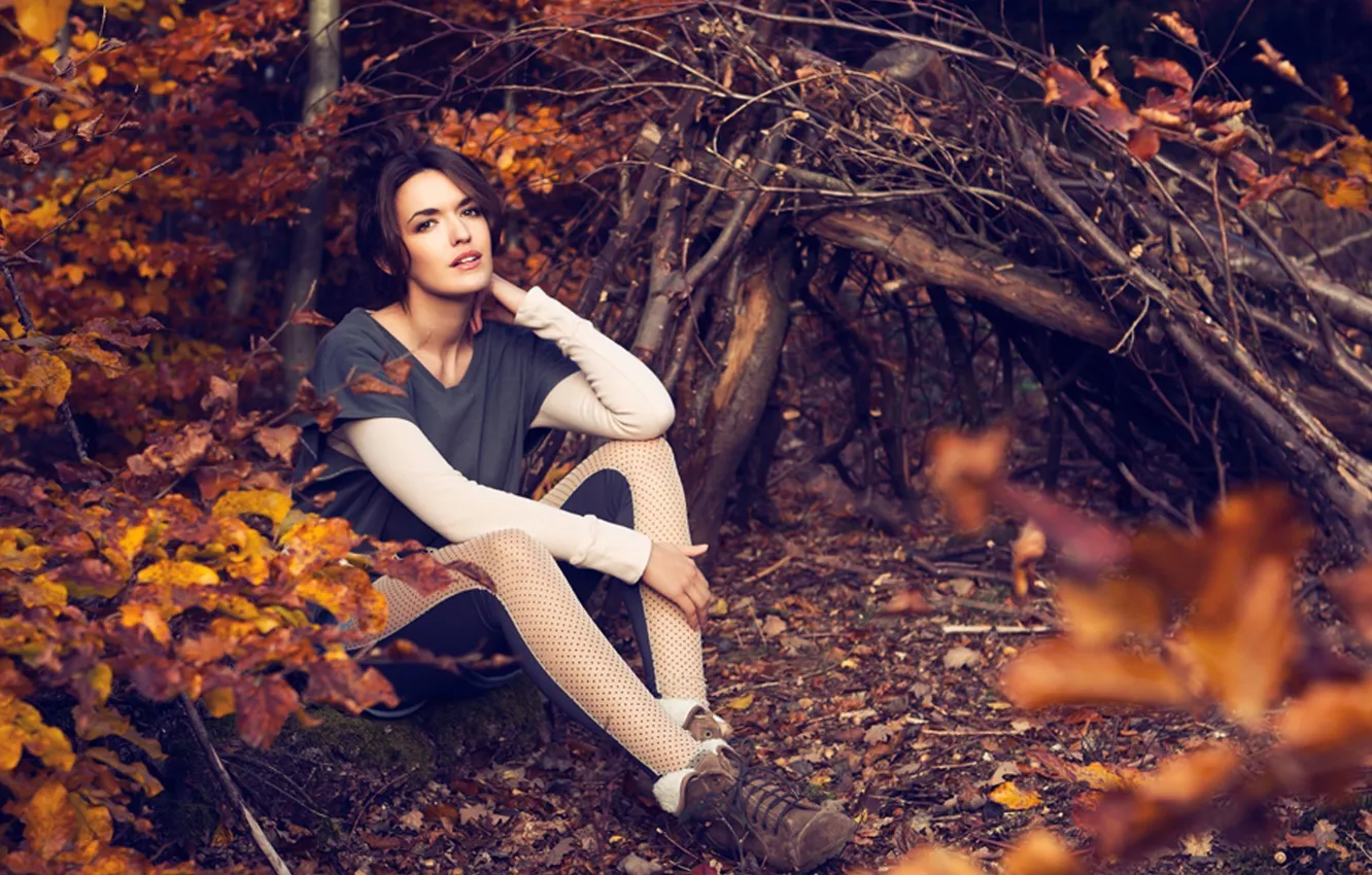 Photo wallpaper autumn, look, leaves, girl, branches, nature, face, background
