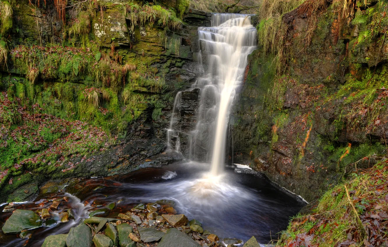 Photo wallpaper forest, rock, stones, England, waterfall, moss, Lead Mines Clough Waterfall