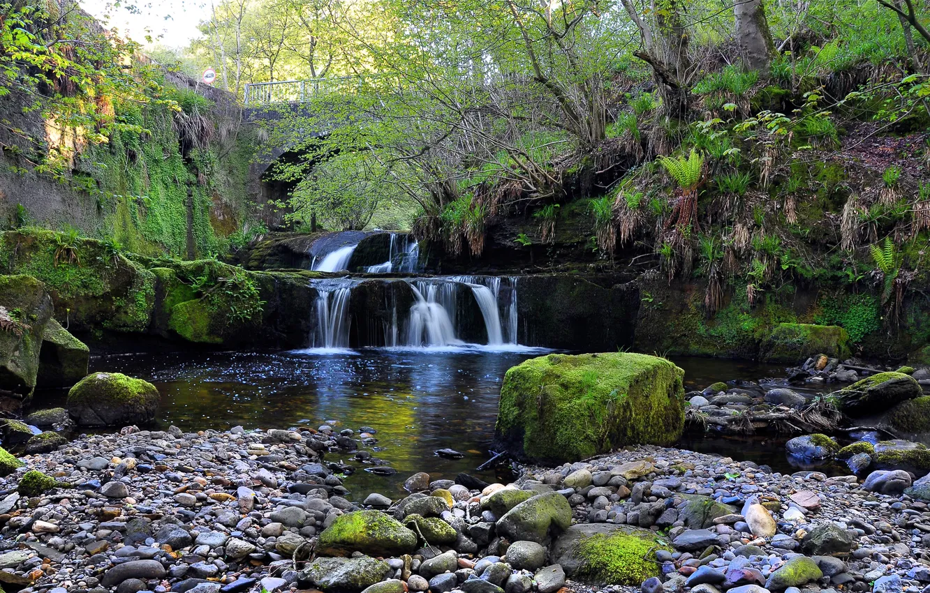 Photo wallpaper the sky, trees, bridge, river, stones, waterfall, moss