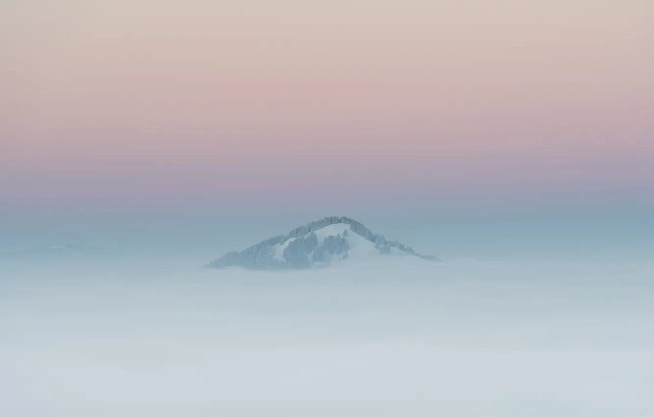 Photo wallpaper winter, landscape, fog