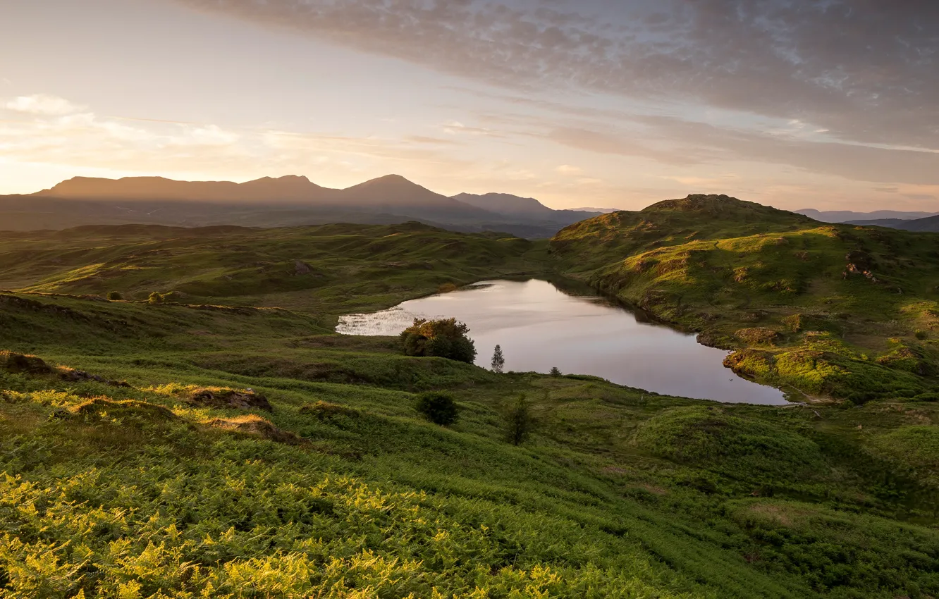 Photo wallpaper greens, field, summer, the sky, clouds, landscape, mountains, nature