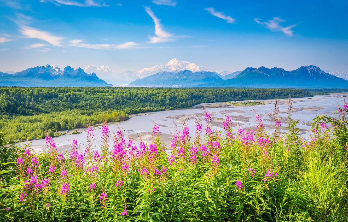 Photo wallpaper landscape, mountains, USA, Denali National Park, parks