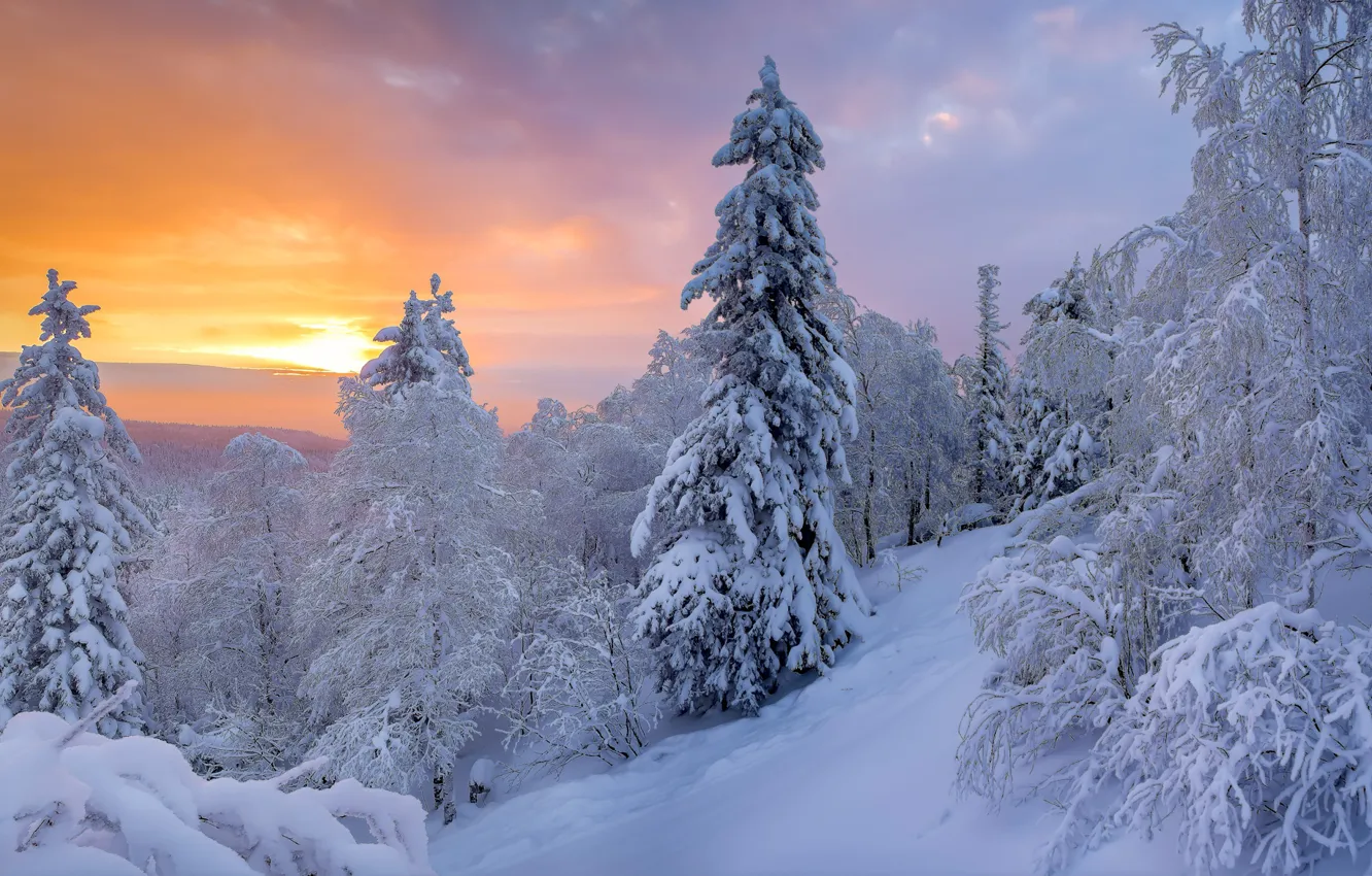 Photo wallpaper winter, snow, trees, landscape, sunset, nature, Taganay