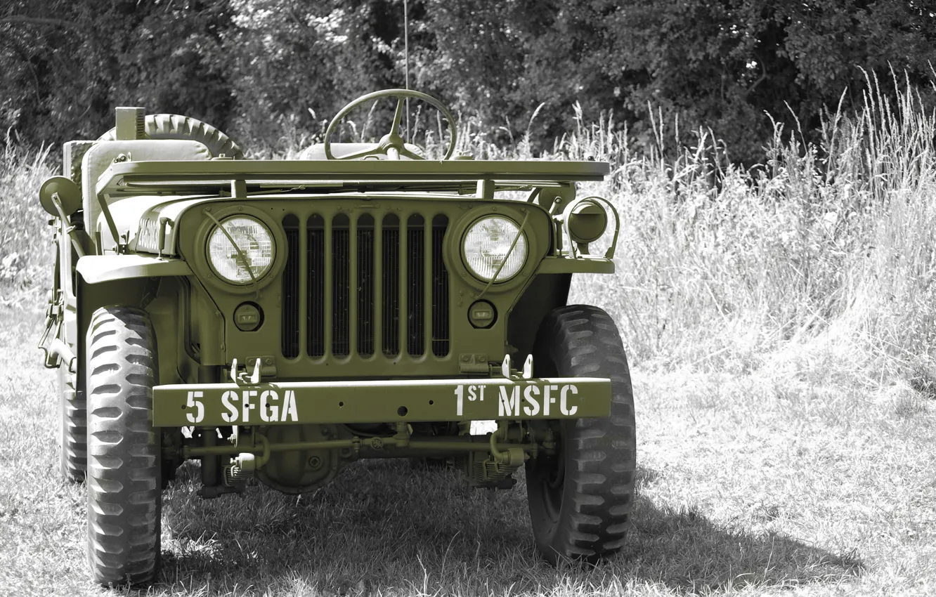 Photo wallpaper grass, war, car, the front, army, Jeep, high, patency