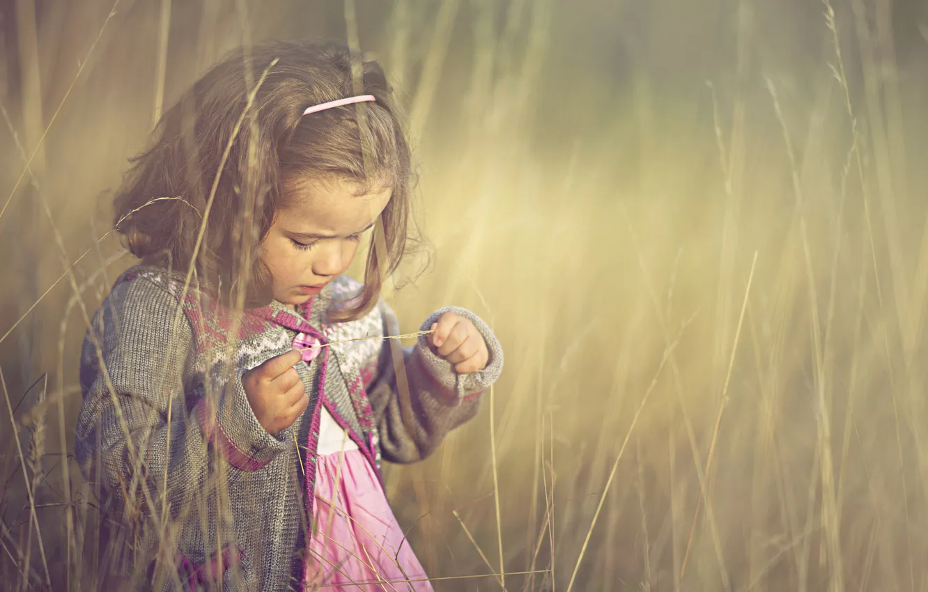 Photo wallpaper field, summer, girl