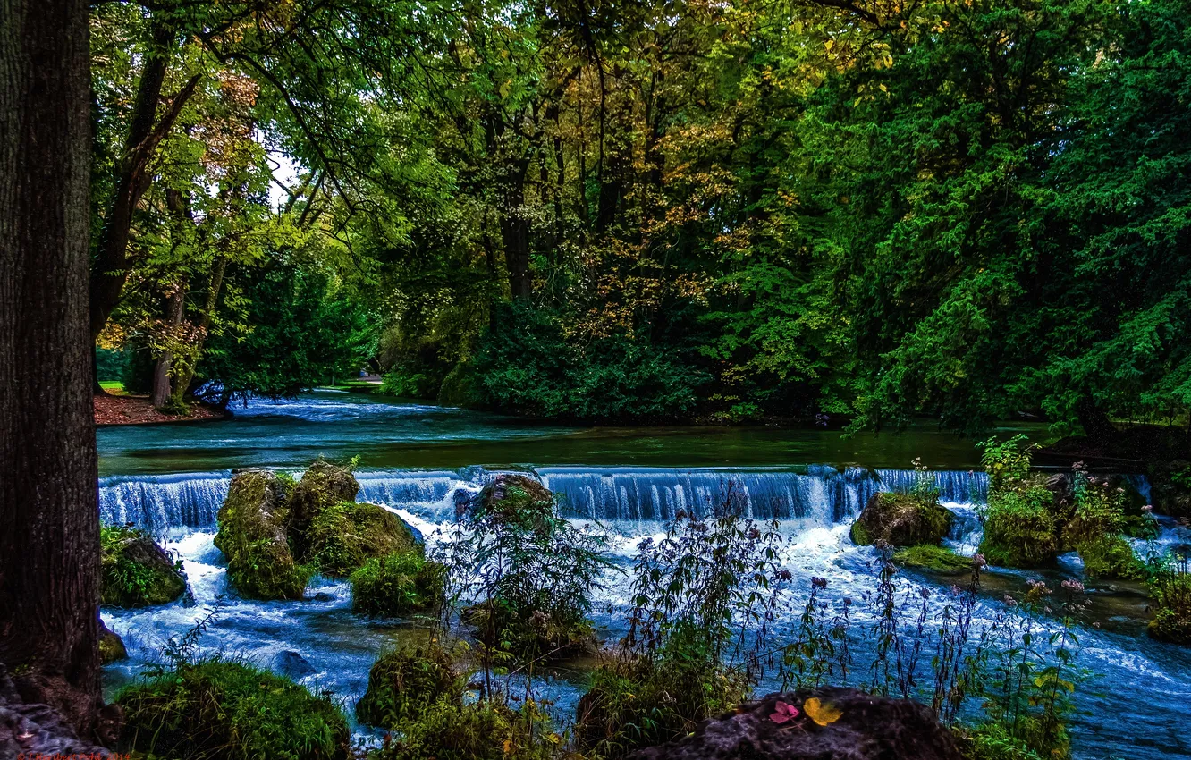 Photo wallpaper nature, Park, photo, Germany, Munich English Garden