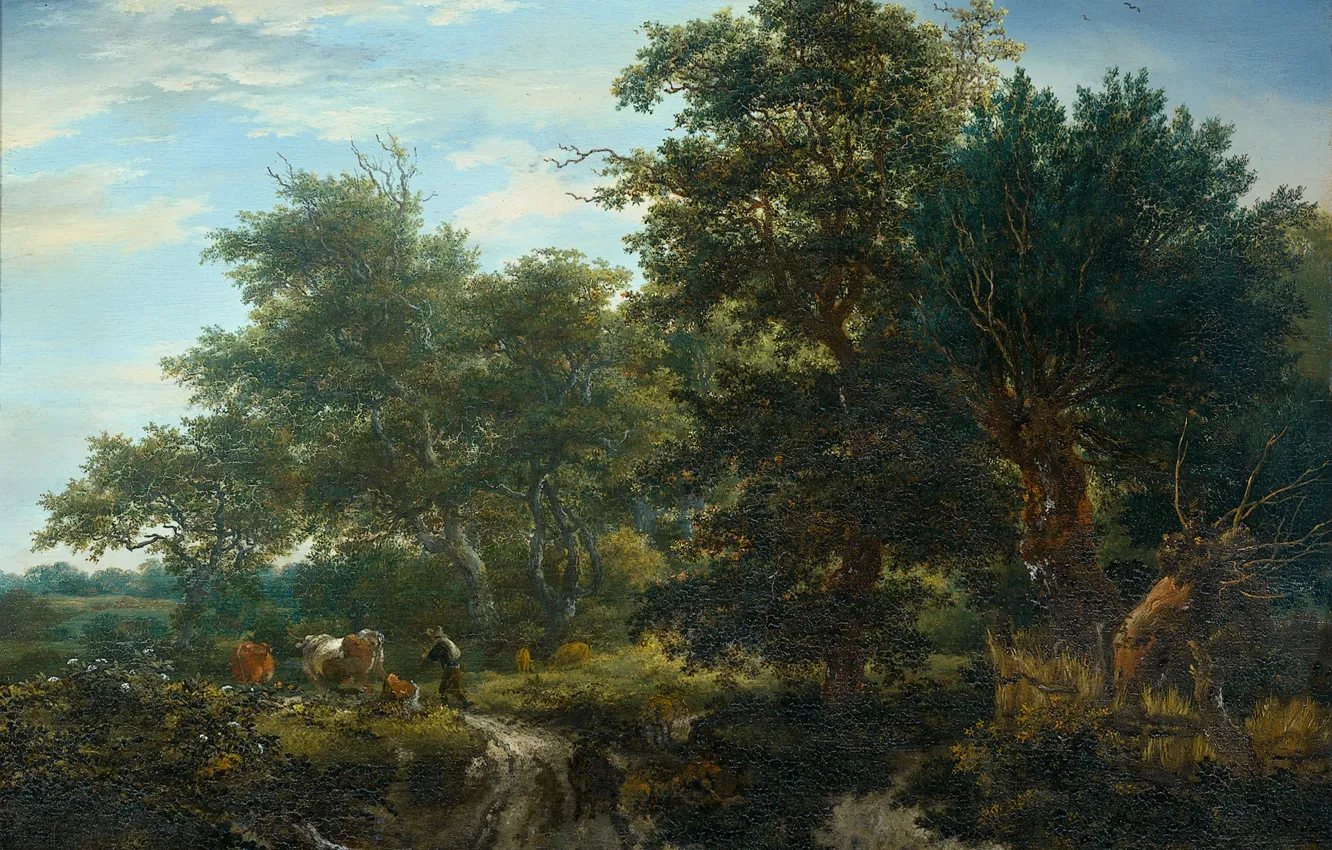 Photo wallpaper landscape, oil, picture, Forest, Jacob van Ruisdael