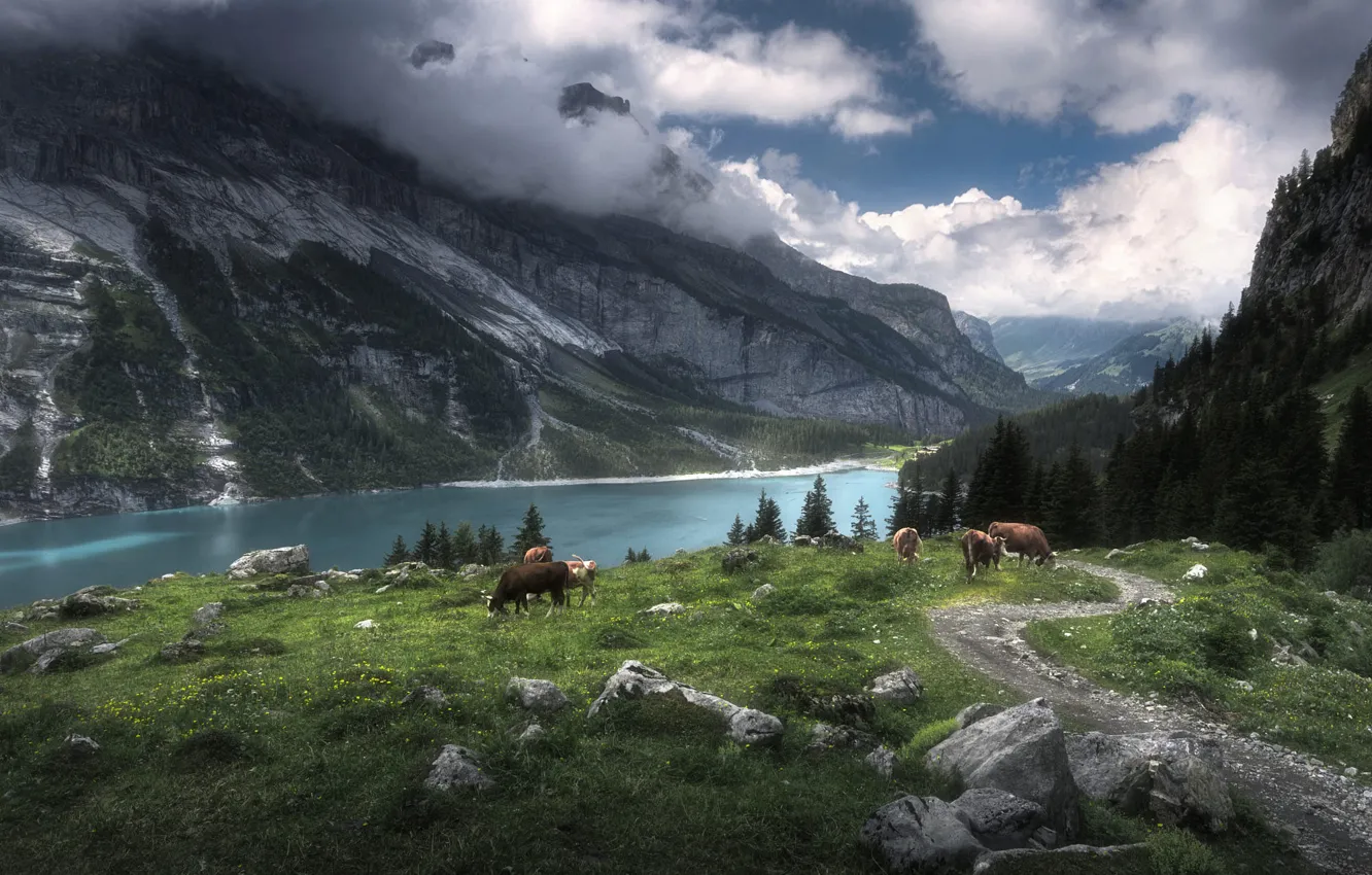 Photo wallpaper road, forest, the sky, clouds, mountains, lake, stones, rocks