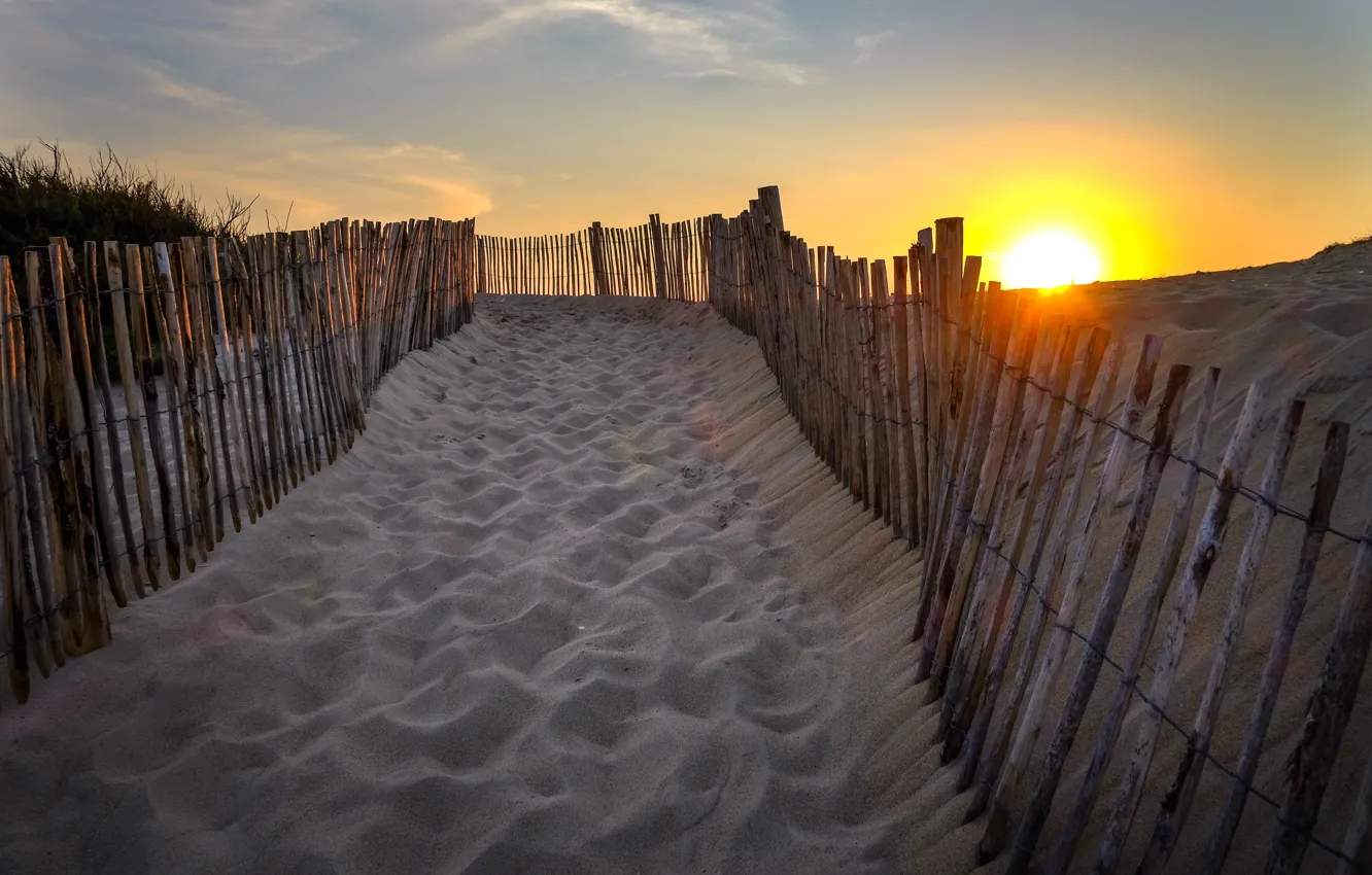 Photo wallpaper beach, the sun, dunes