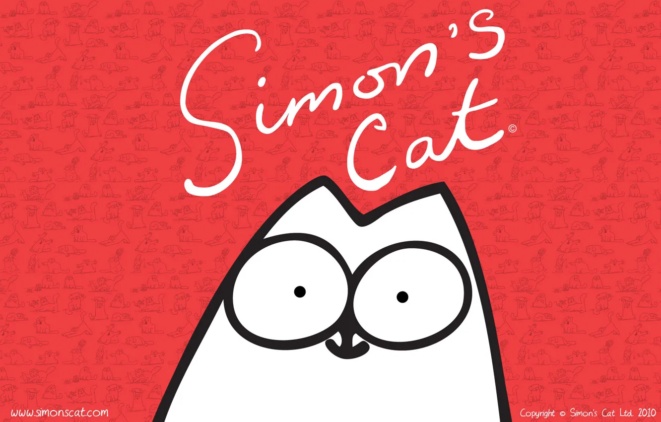Photo wallpaper cat, cat, simon, Simon