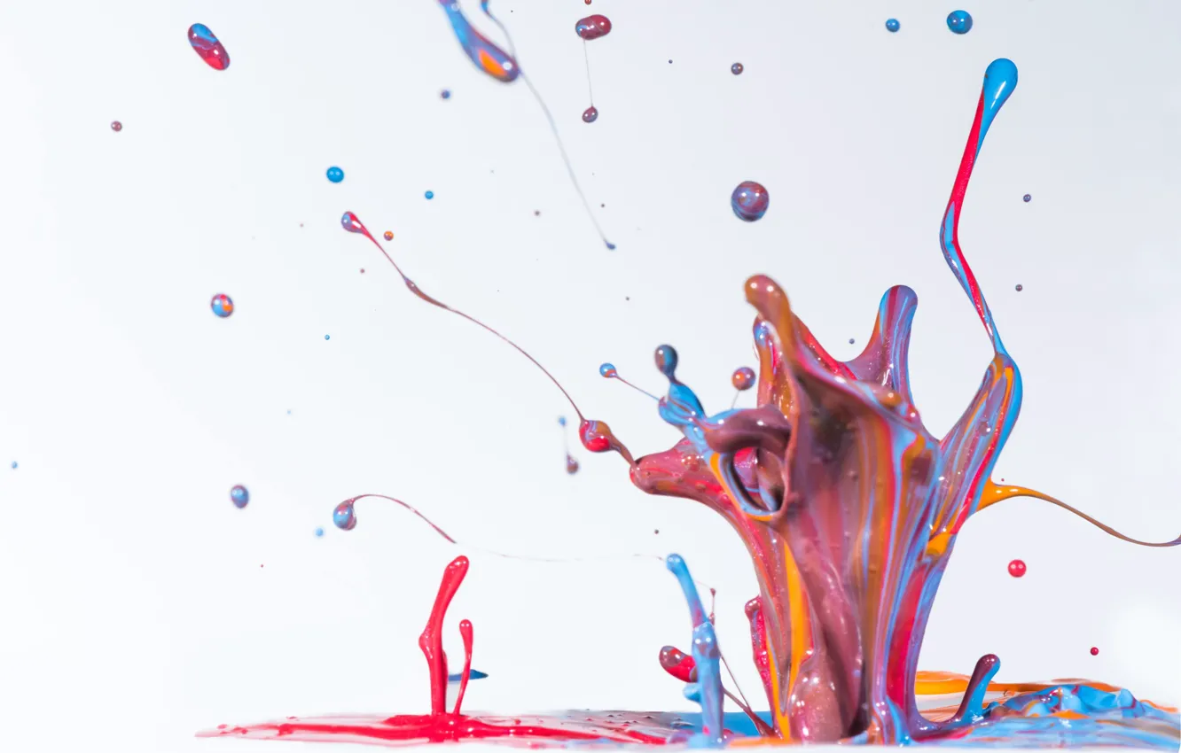 Photo wallpaper drops, macro, paint, color, splash, white background