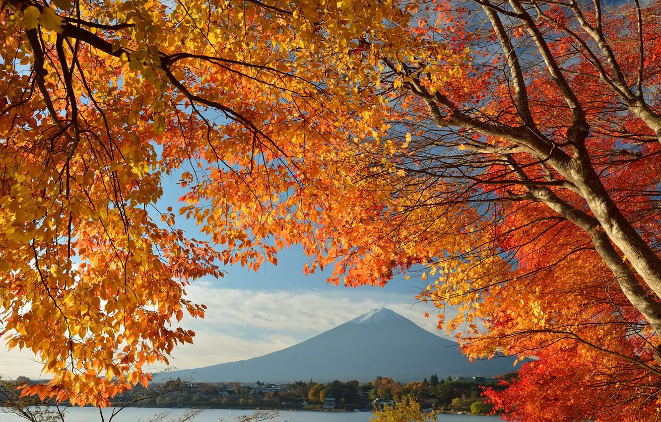 Photo wallpaper autumn, the sky, leaves, trees, lake, house, Japan, mount Fuji