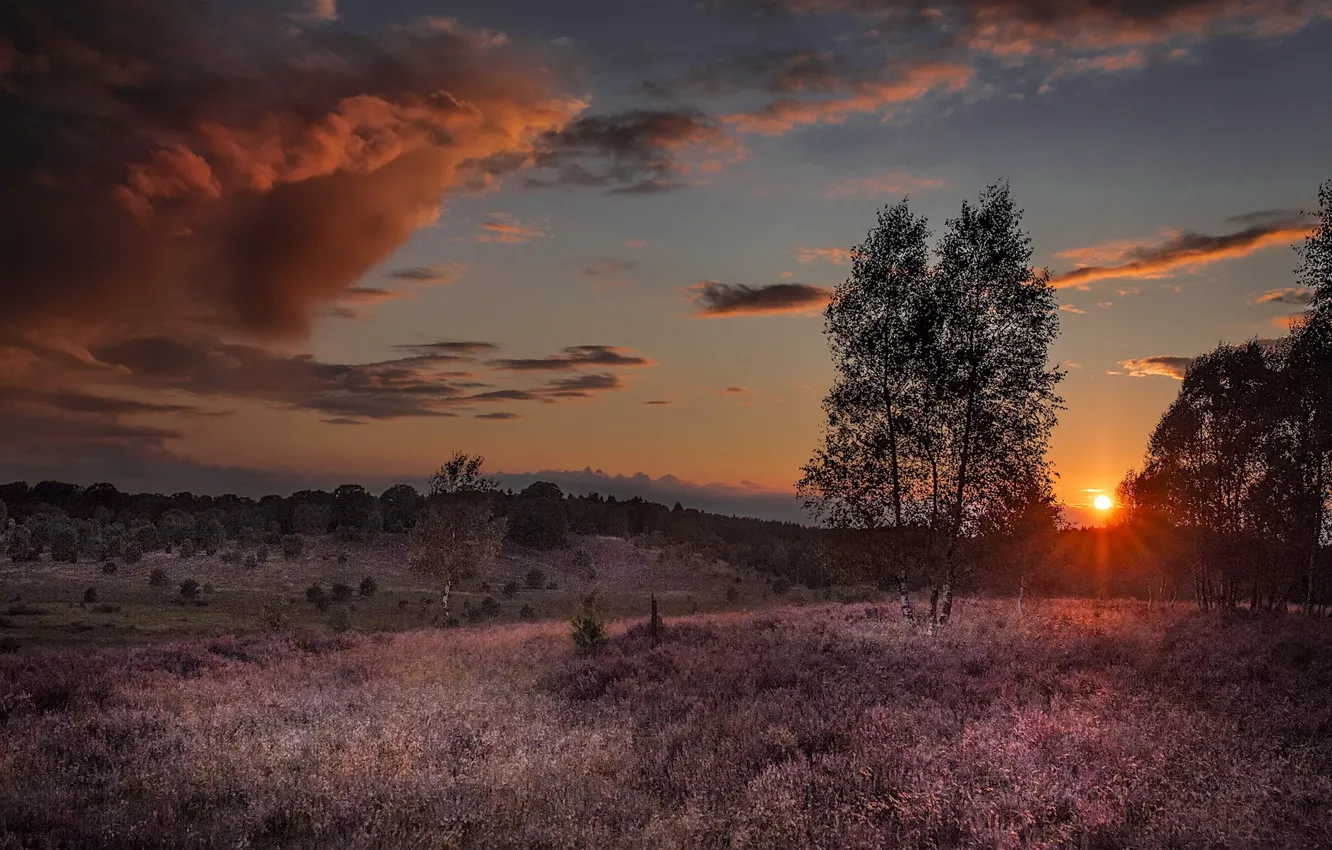 Photo wallpaper summer, sunset, nature