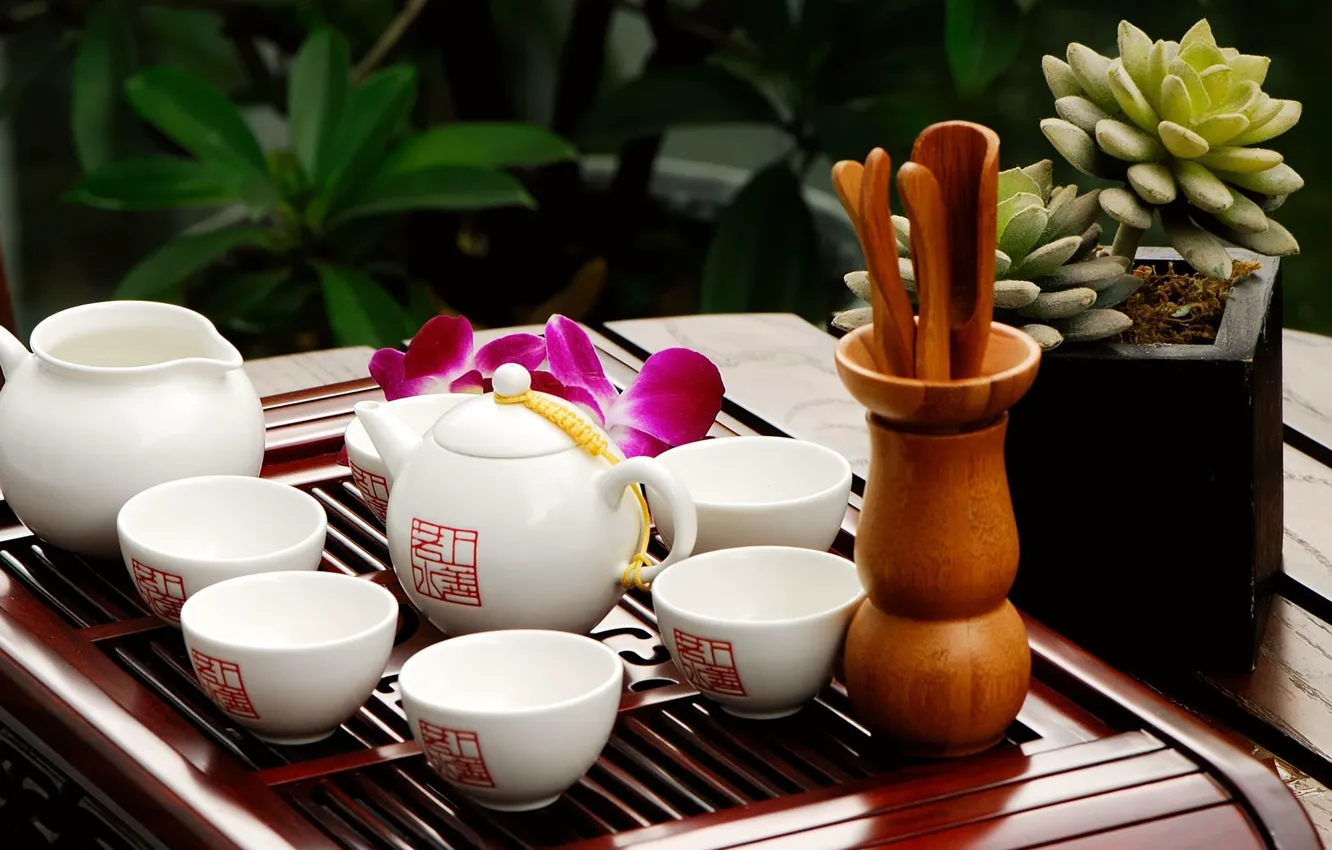 Photo wallpaper plant, kettle, Cup, zen