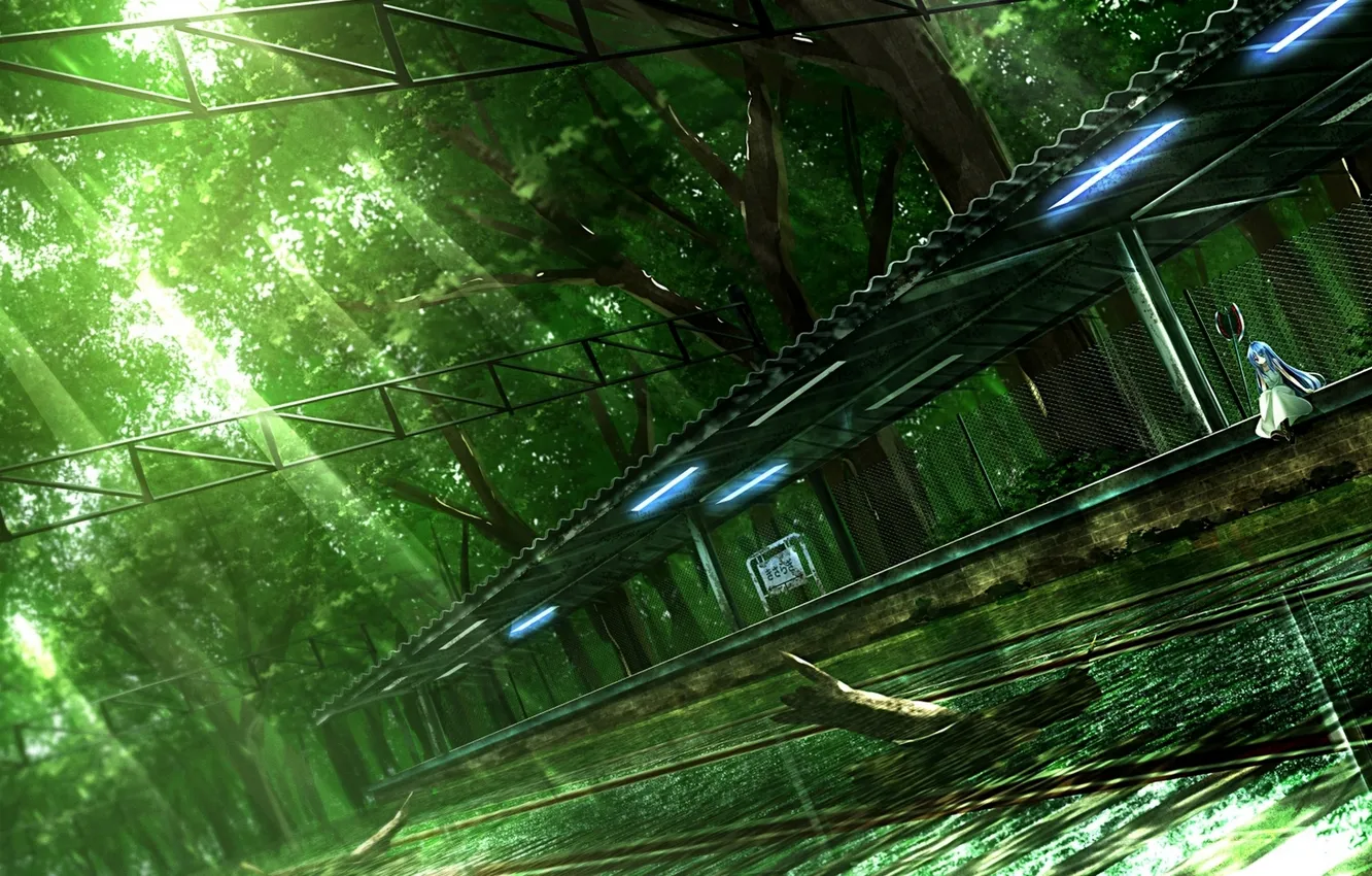 Photo wallpaper water, girl, light, trees, nature, weapons, anime, art